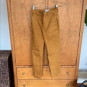 Everlane Mustard Chinos